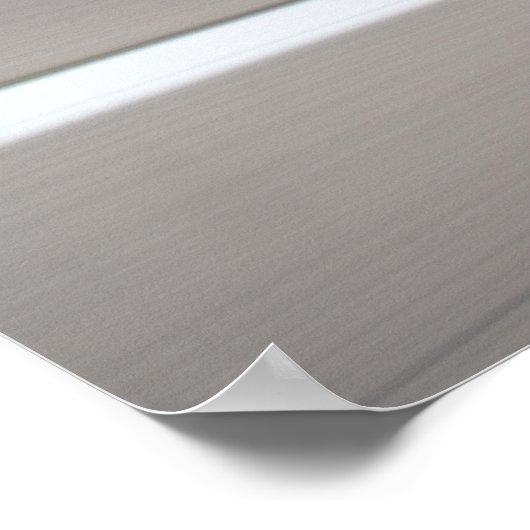 Poster Hellcat Challenger (Coin)