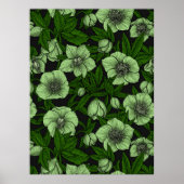 Poster Hellebores blancs avec feuille (Devant)