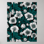 Poster Hellebores blancs avec feuilles bleus (Devant)