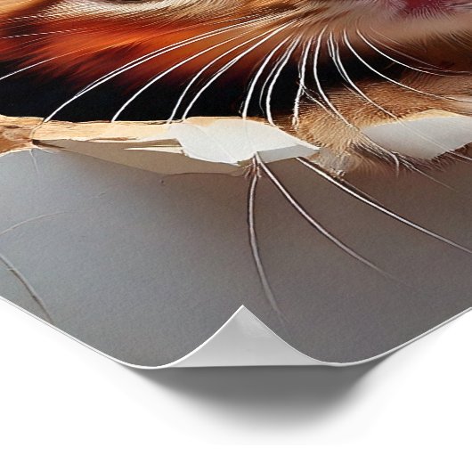 Poster Hello Kitty Cat (Coin)