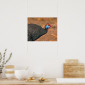 Poster Helmeted Guinea Fowl (Numida meleagris). Afrique, (Cuisine)