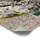 Poster Hemanus Rocks, Western Cape (Coin)