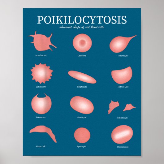 Poster Hematology Red Blood Cell Laboratory Science Hemat (Devant)