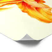 Poster Hémérocalle double Hemerocallis orange aquarelle (Coin)