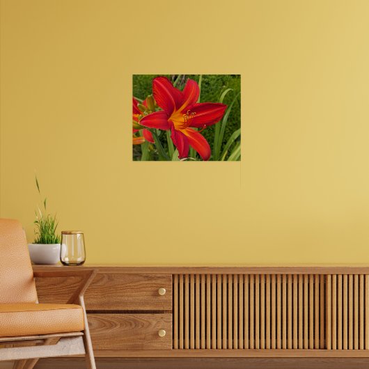 Poster Hemerocalle orange en fleurs Floral (Salon 2)