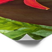 Poster Hemerocallide orange en fleurs et feuille de plant (Coin)