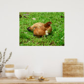 Poster Hen et Chick (Cuisine)