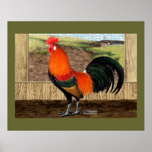 Poster Hen House Hero