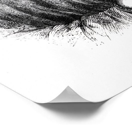 Poster Henri II (Coin)