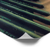 Poster Henri Rousseau - L'avenue du parc Saint-Cloud (Coin)