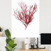 Poster Henry Bradbury's Pressed Seaweed Neuvième De Dix (Bureau à domicile)