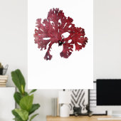 Poster Henry Bradbury's Pressed Seaweed Septième of Ten (Bureau à domicile)