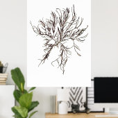 Poster Henry Bradbury's Pressed Seaweed Sixième of Ten (Bureau à domicile)