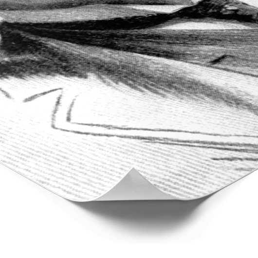 Poster Henry Flagler (Coin)