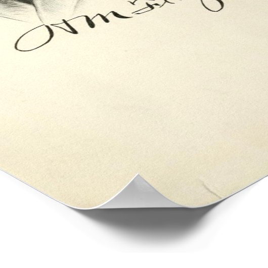 Poster Henry Flagler (Coin)