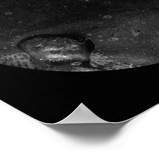 Poster Henry Herbert Daguerreotype 1855 (Coin)