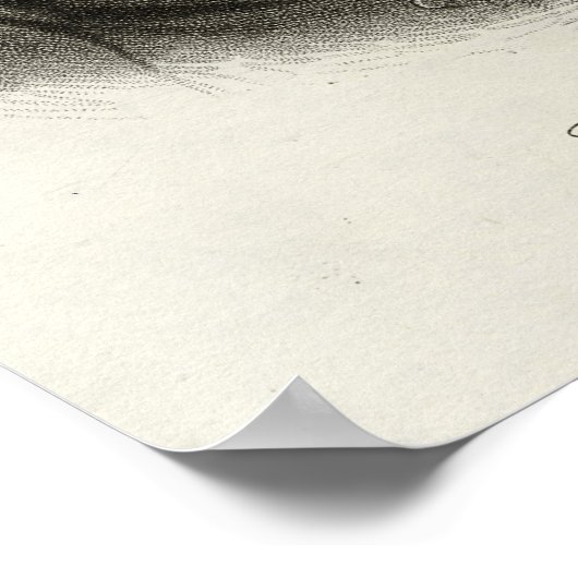 Poster Henry Montgomery (Coin)