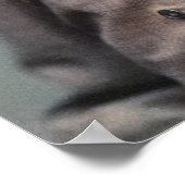 Poster Henry Morton Stanley - Explorateur (Coin)