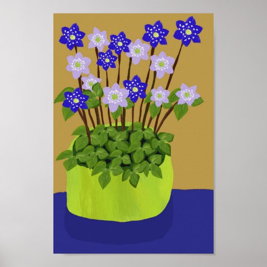 Poster Hepatica (Devant)