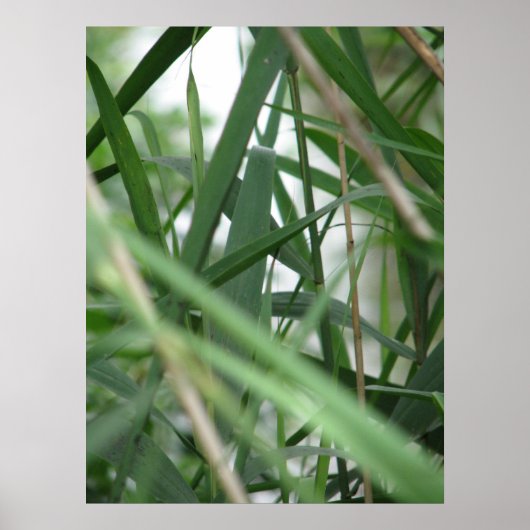 Poster Herbe (Devant)