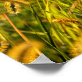 Poster Herbe d'automne (Coin)