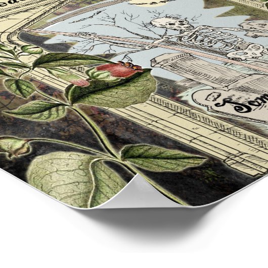 POSTER HERBE DE BELLADONNA WITCH (Coin)