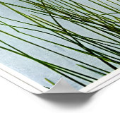 Poster Herbe de coton Sheathée (Coin)