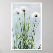 Poster Herbe de coton Sheathée (Devant)