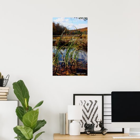 Poster Herbe de marais (Bureau à domicile)