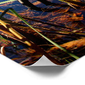 Poster Herbe de marais (Coin)