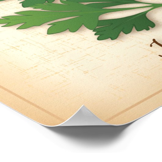 Poster Herbe de persil italienne (Coin)