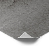 Poster Herbe de plage (Coin)