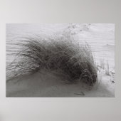 Poster Herbe de plage (Devant)