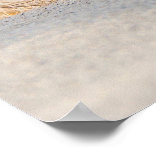 Poster Herbe de plage avec plumes (Coin)