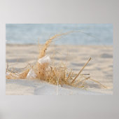 Poster Herbe de plage avec plumes (Devant)