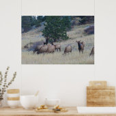 Poster Herbe d'élans (Cuisine)
