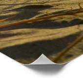 Poster Herbe des dunes et mer  - (Coin)