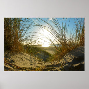 Poster Herbe des dunes et mer  -