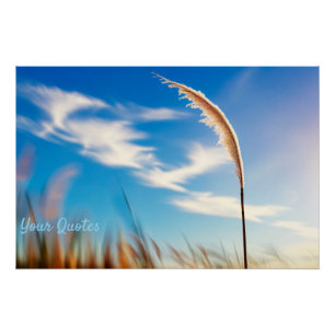 Poster Herbe des Pampas Éclairée par le Soleil sur un Fon