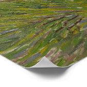 Poster Herbe et papillons par Vincent van Gogh (Coin)