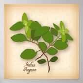 Poster Herbe italienne Oregano (Devant)