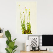 Poster Herbe jaune (Bureau à domicile)