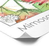 Poster Herbe médicinale Mimosa Plante Fleurs roses (Coin)