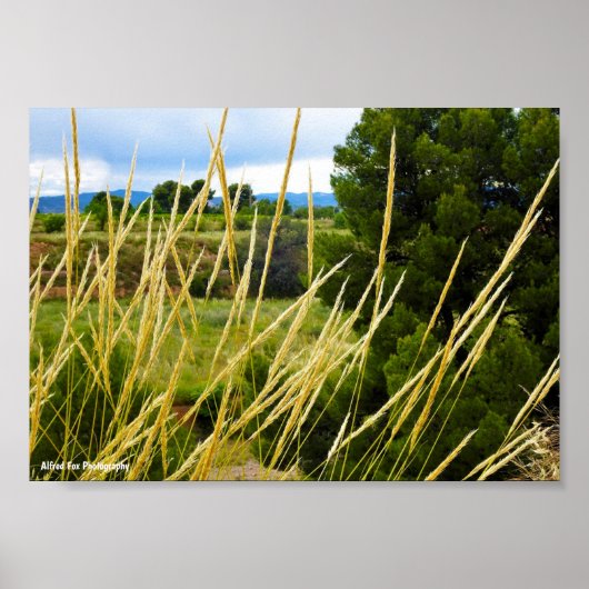 Poster Herbe sauvage de campagne (Devant)