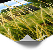 Poster Herbe sauvage de campagne (Coin)
