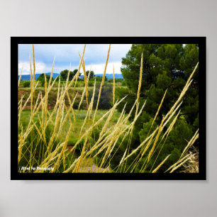 Poster Herbe sauvage de campagne