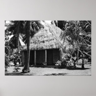 Poster Herbe Shack sur la plage - île d'Hawaï