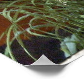 Poster herbe urbaine (Coin)