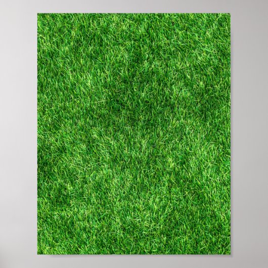 Poster Herbe verte (Devant)