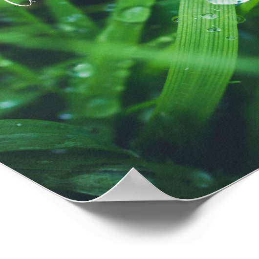 Poster Herbe verte (Coin)
